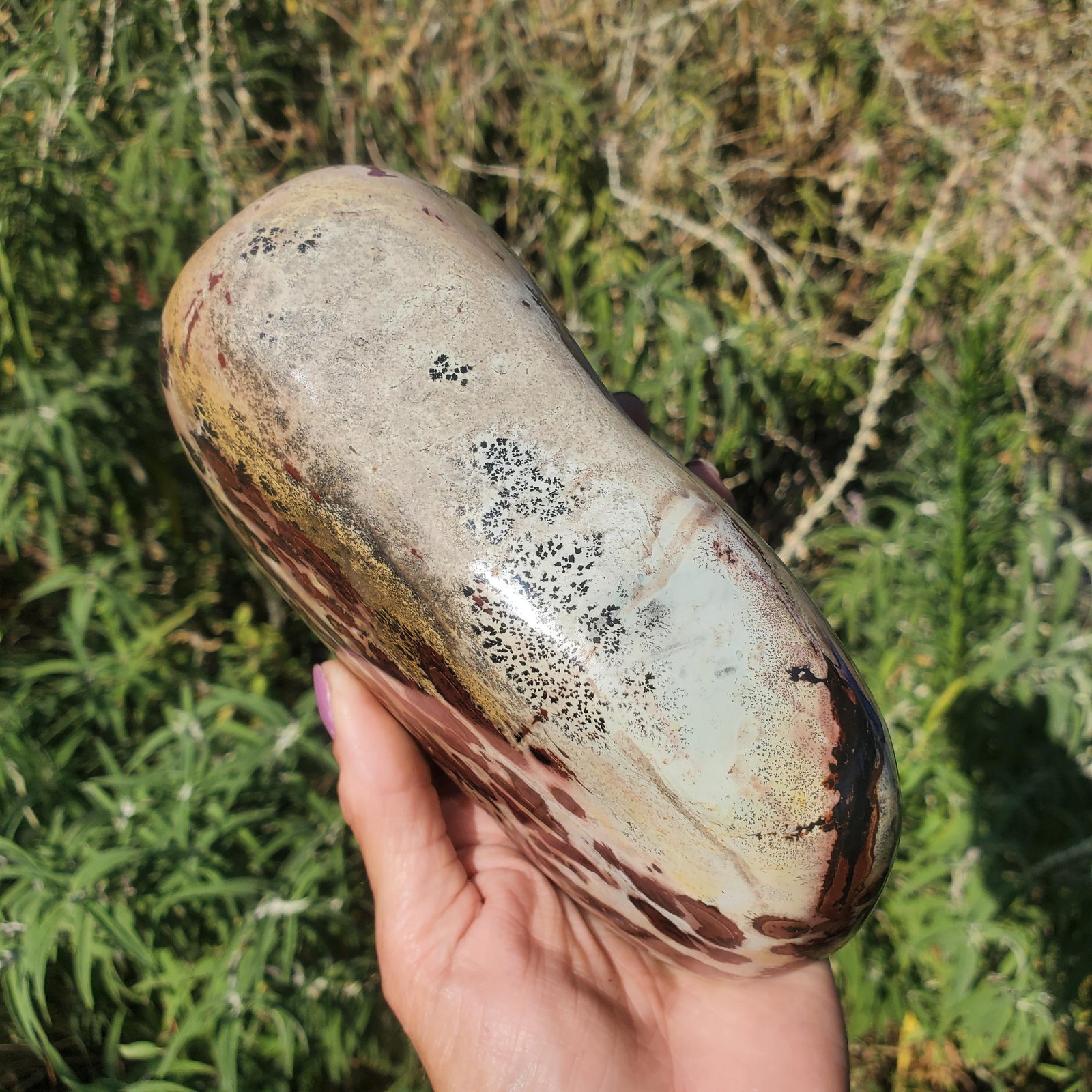 Picture Stone Jasper Dendritic Dendrite Display Freeform | 3lbs 5oz | 1490 Gram