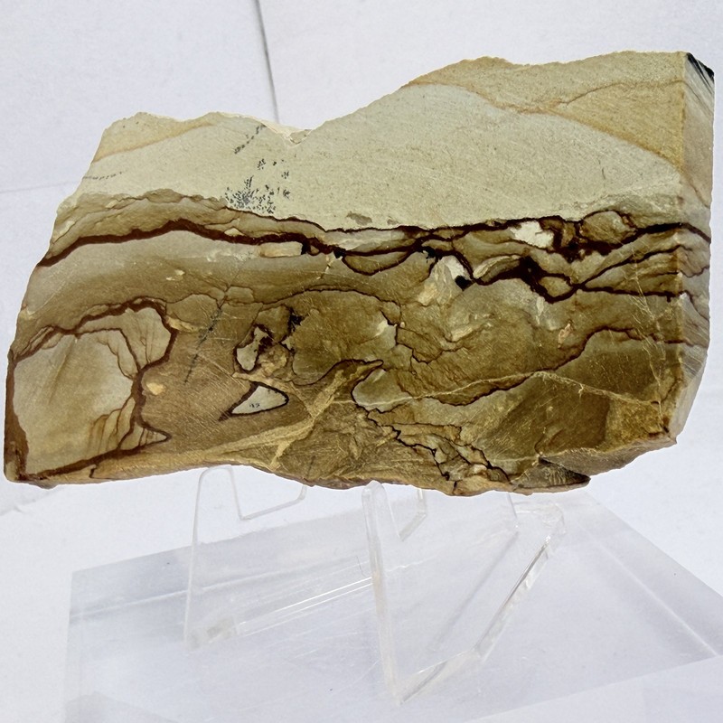 OWYHEE Picture Jasper Slab Polished Display Stone Oregon USA