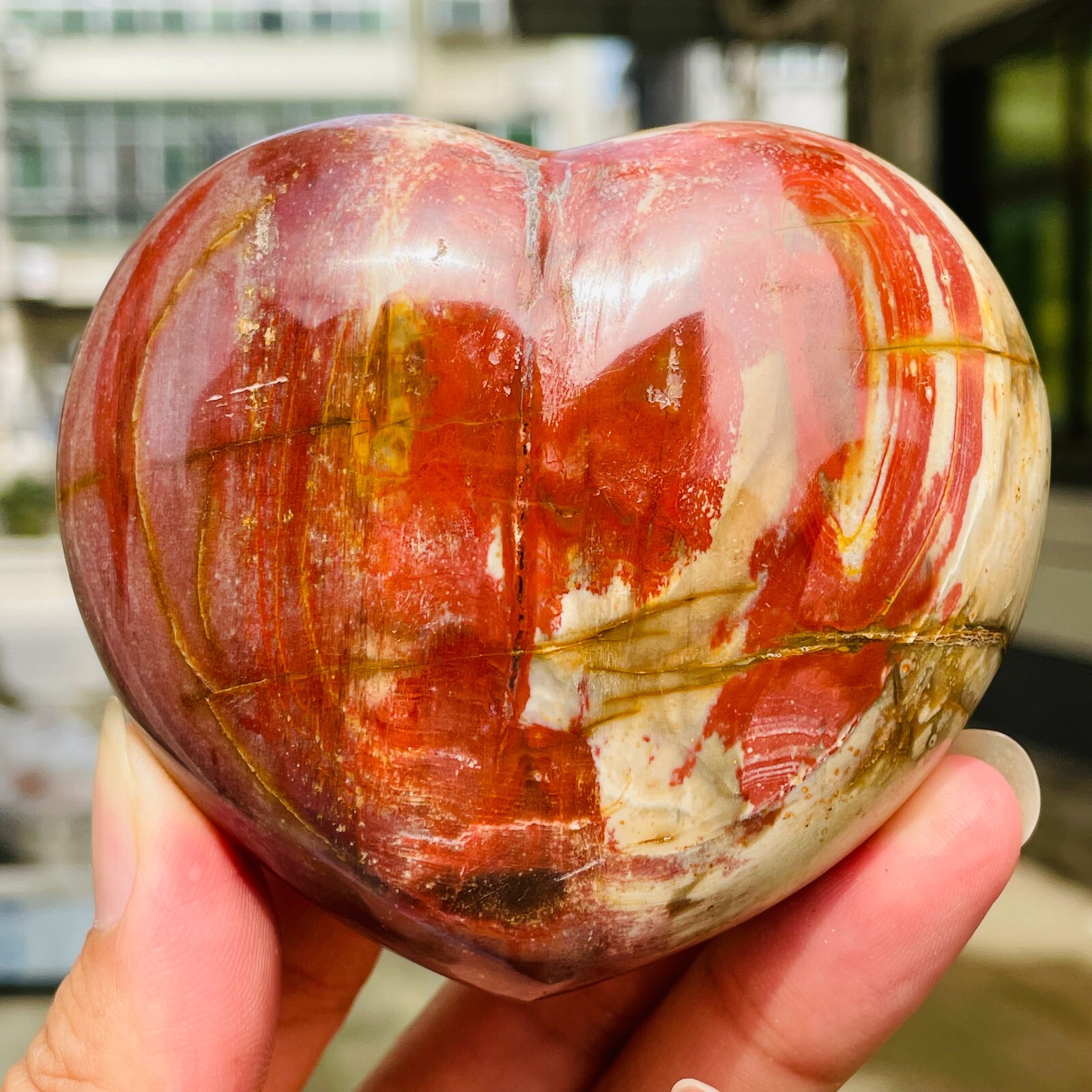 364g Natural Petrified Wood Jade Quartz Crystal Fossil Heart Shape Specimen