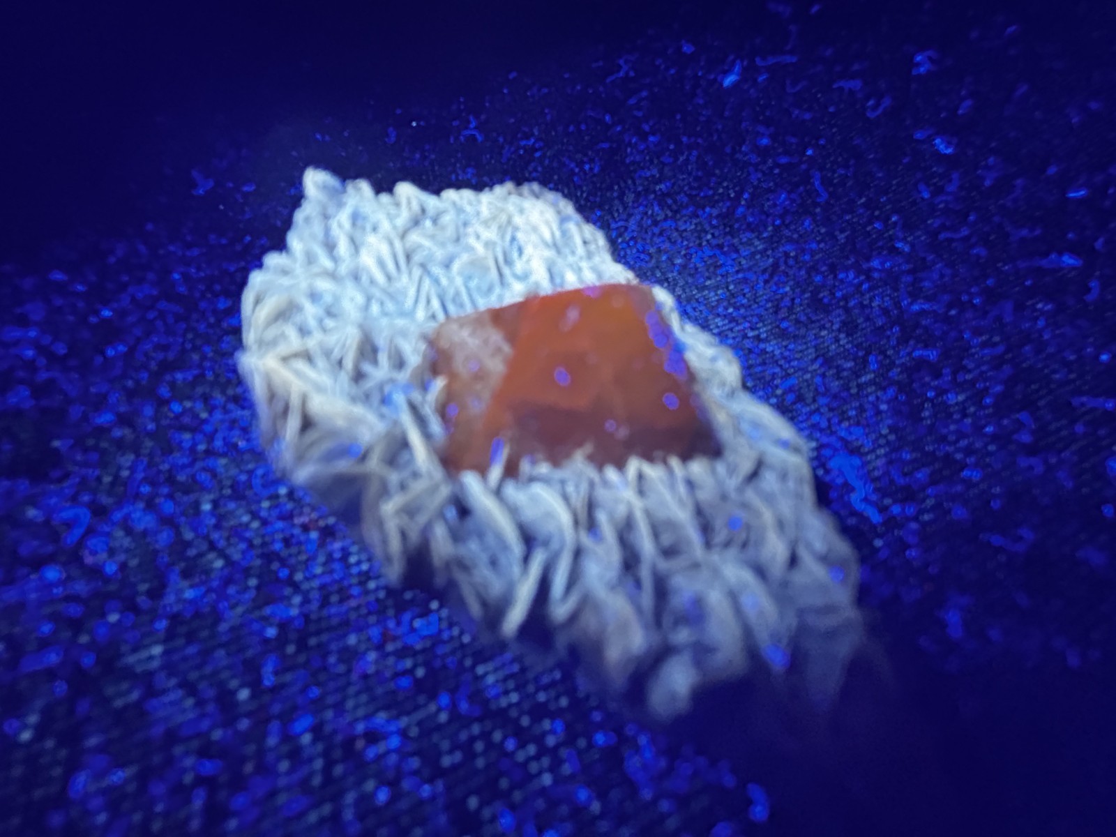 KB: SW FL BRIGHT BLUE/WHITE & LW ORANGE SCHEELITE XLS. FROM PINGWU MINE, CHINA