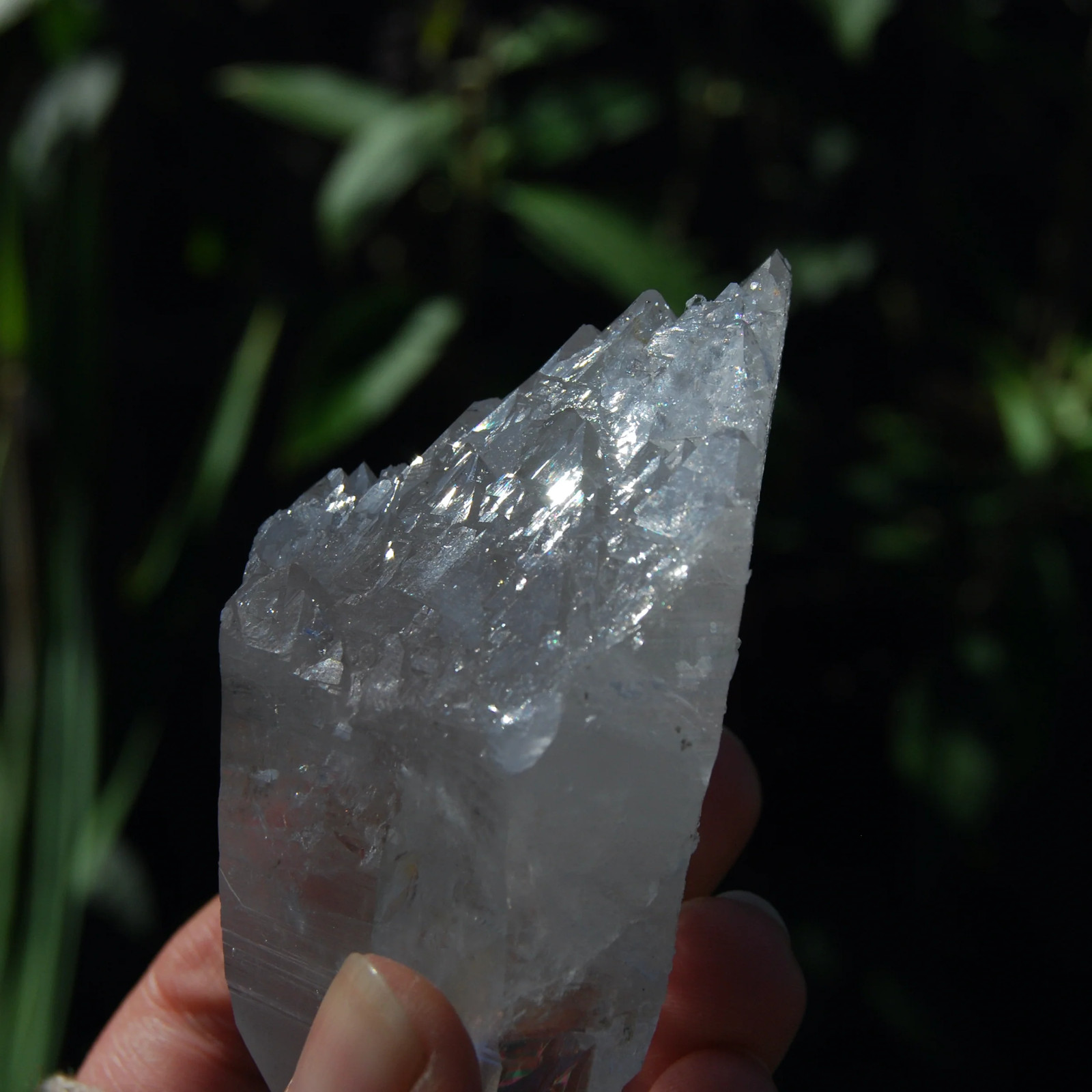 4.25in 227g Colombian Lemurian Seed Crystal Laser Receiver, Self Healed Optical