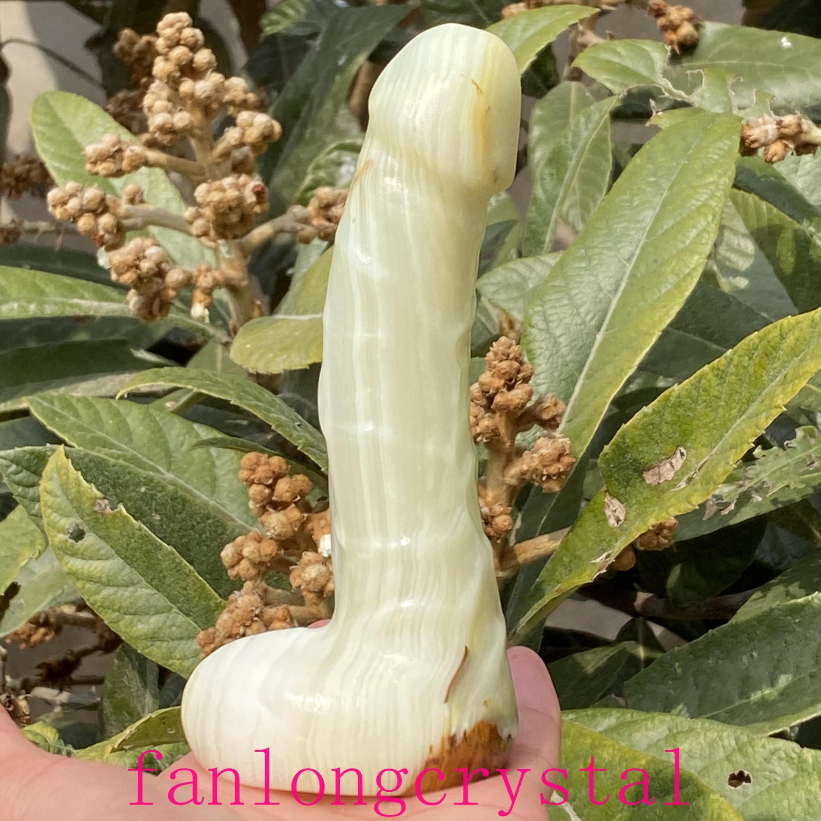 6in Wholesale Natural Afghan jade male penis Quartz Crystal Carved Figurines 1pc