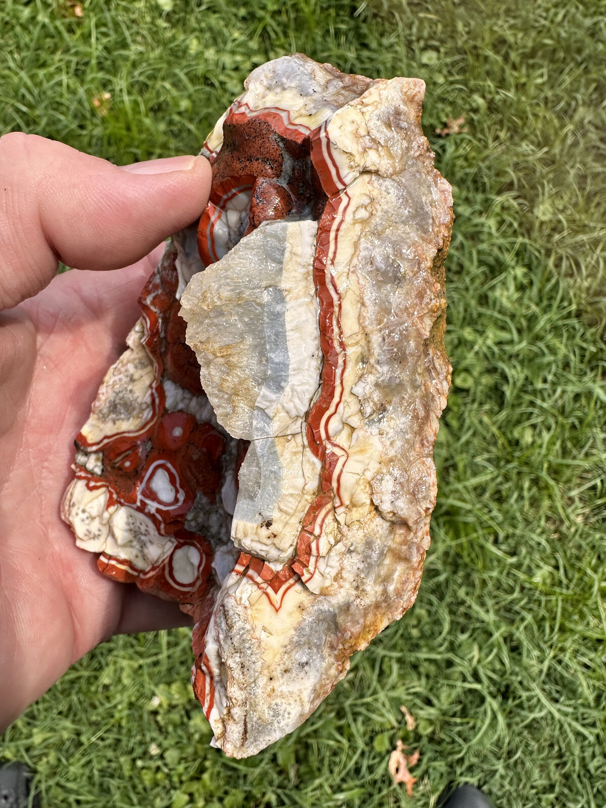 Large Natural Rare Kentucky Agate Rough from Estill County