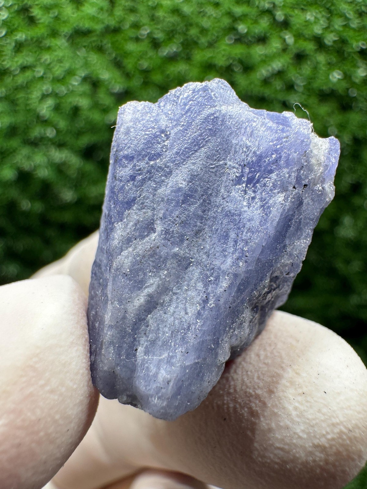 Crazy TANZANITE Crystal with COLOR CHANGE under yellow/white light / F214