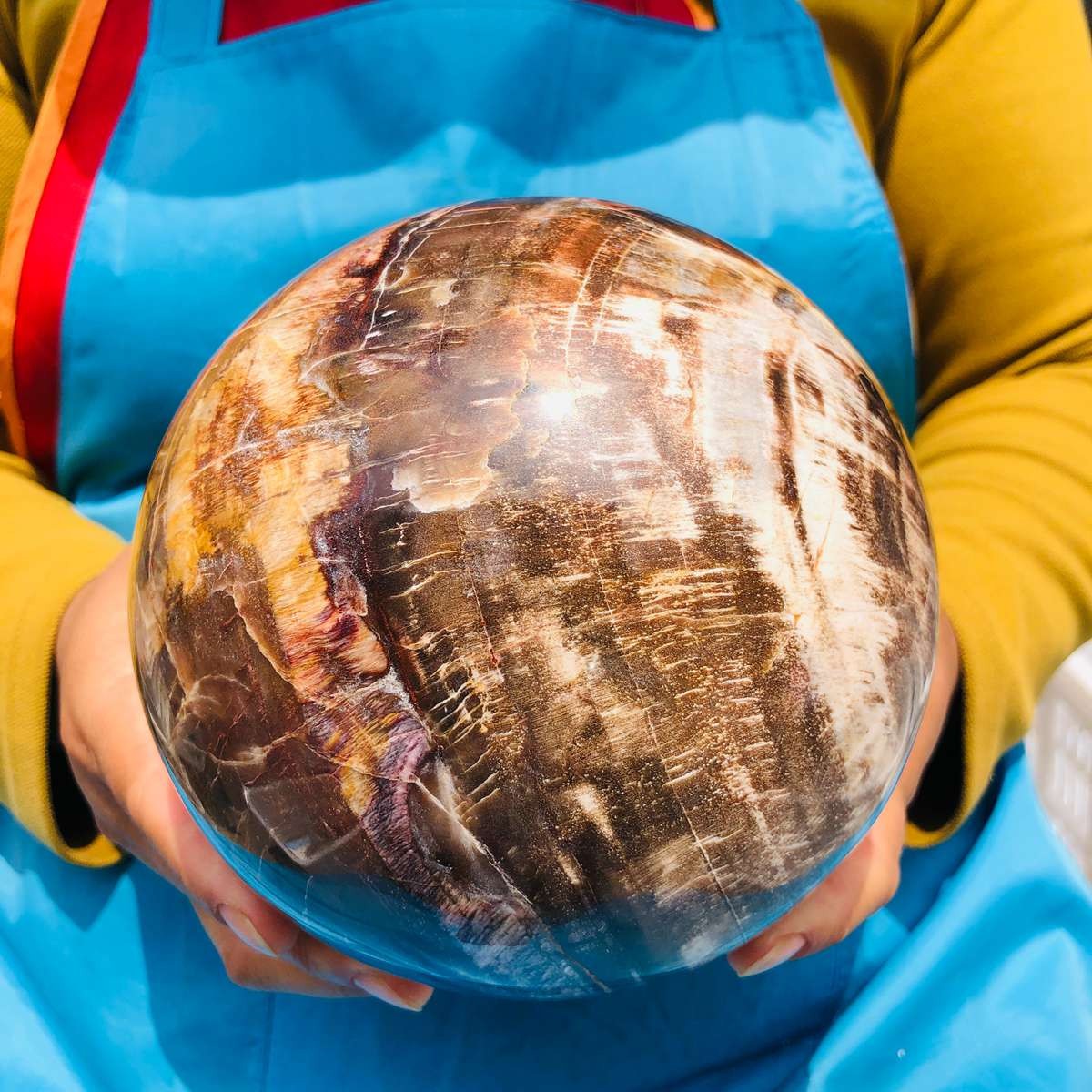 7.72LB Rare Natural Petrified Wood Ball Crystal Quartz Mineral Healing 4709