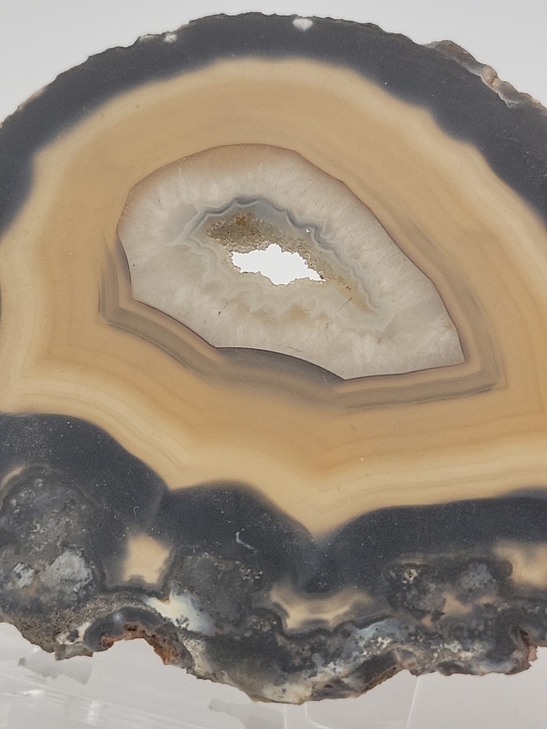 Carnelian Agate Slab Slice Geode~Quartz Center~4oz Opaque Blk Golds GORGEOUS!