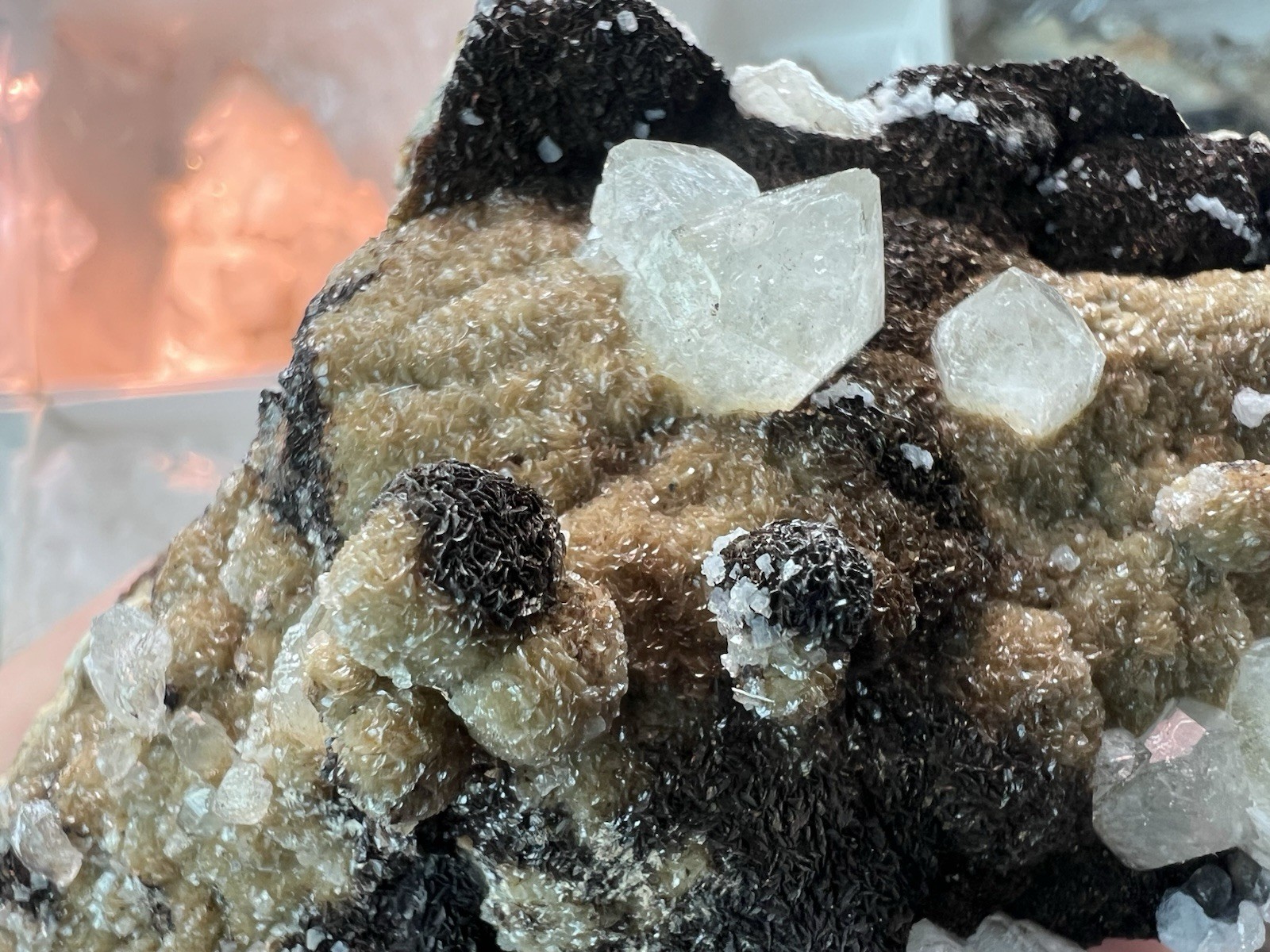 12 Quartz & Siderite Specimens – Potosí Mine, Santa Eulalia, Chihuahua, Mexico