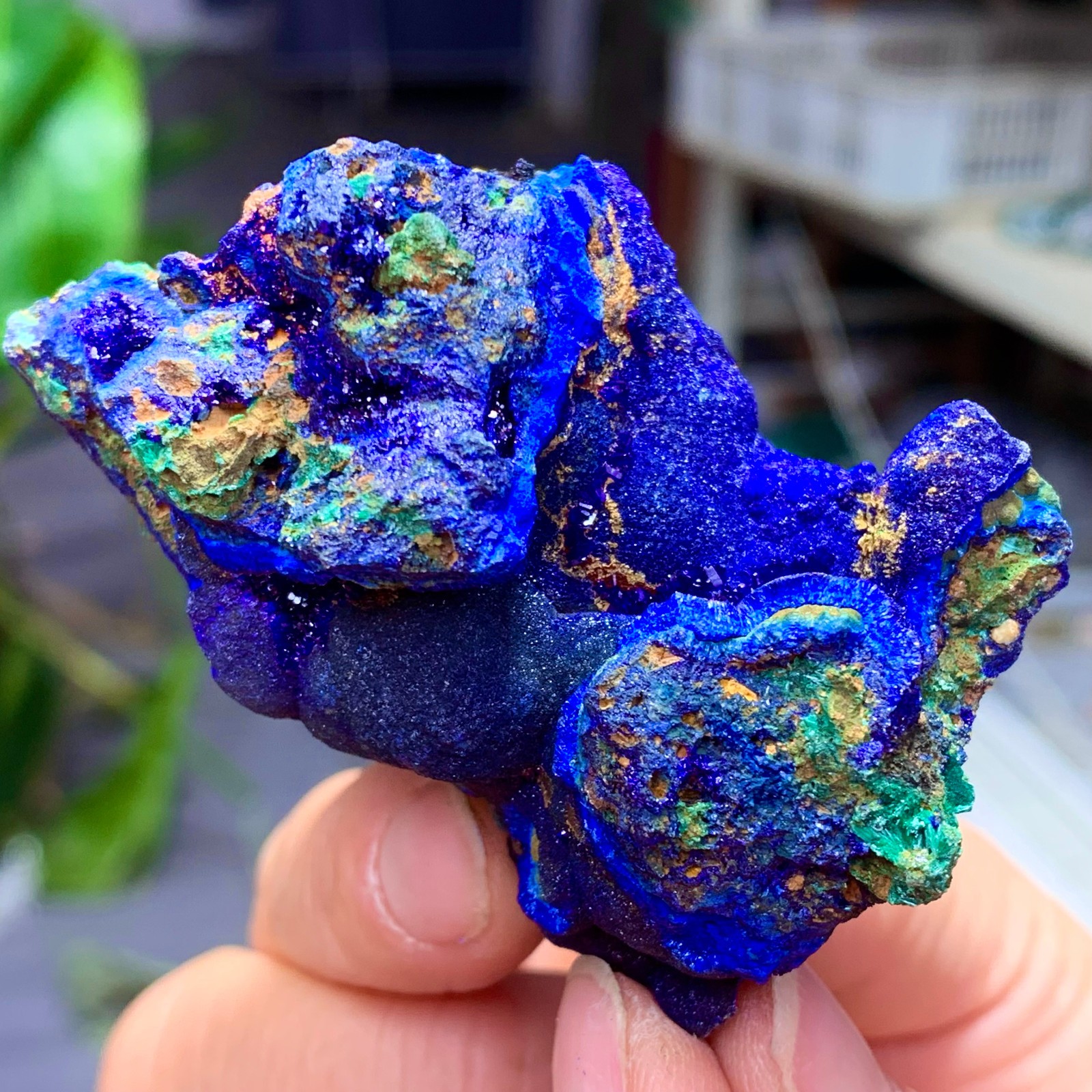 102G BEST Natural Azurite/Malachite crystal minerals specimens
