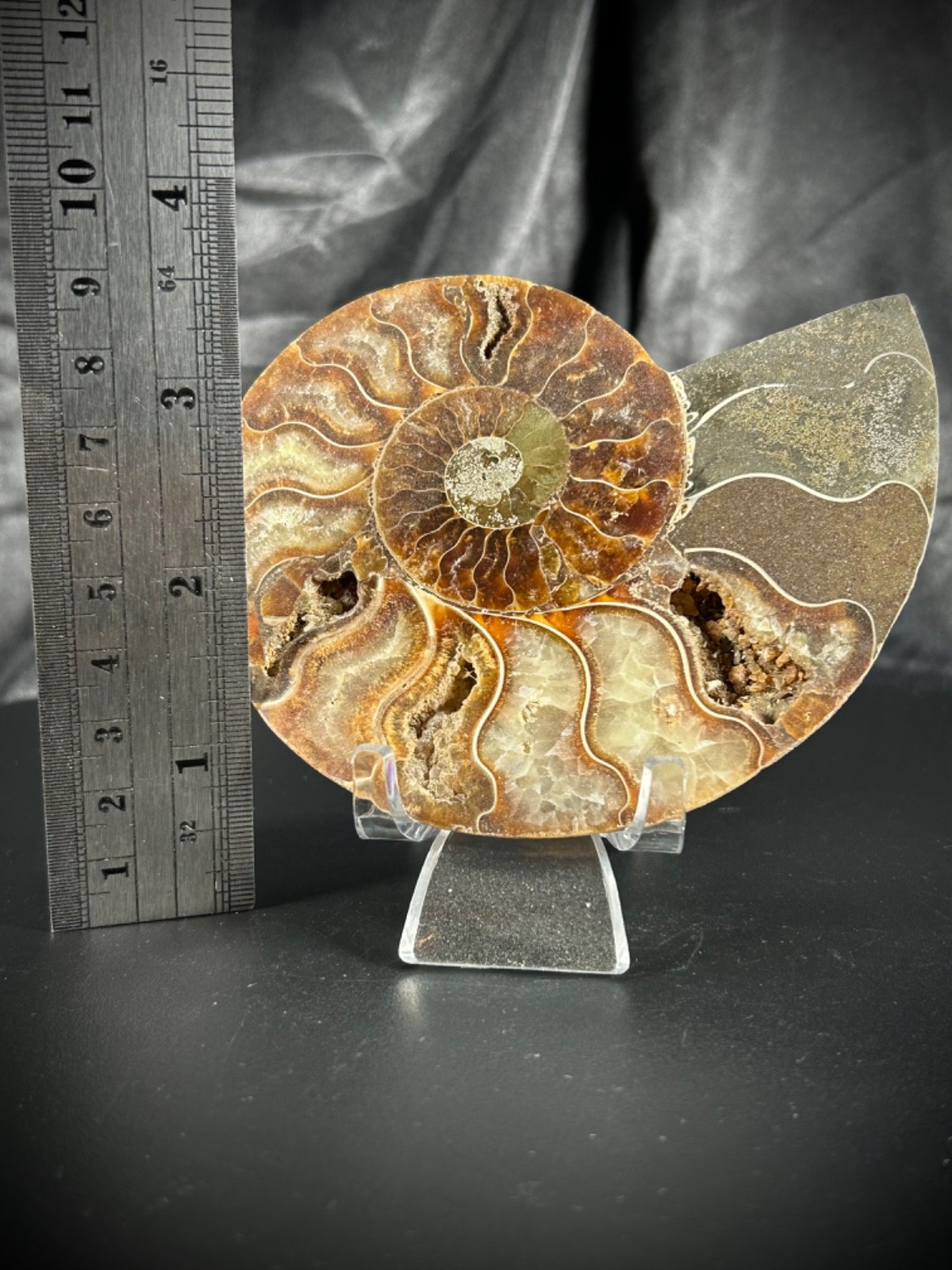 4.32″ Sliced Ammonite Half With Acrylic Stand 5.5oz (157 grams)