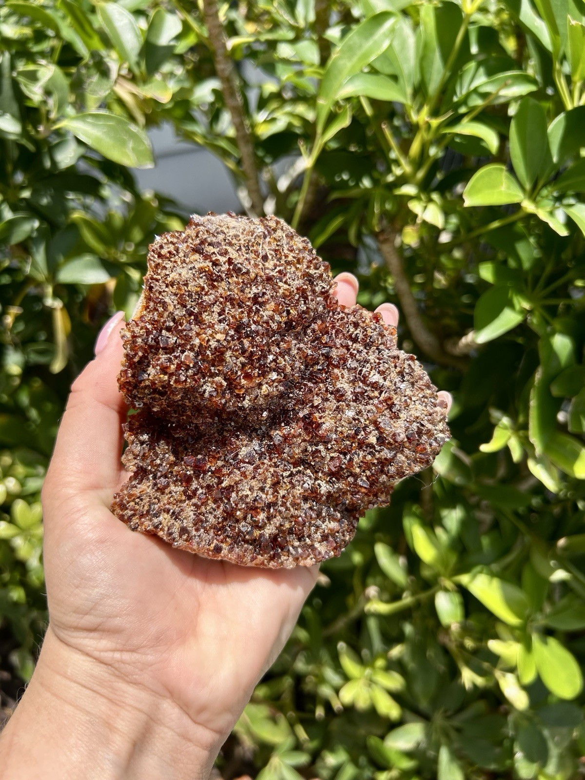 Natural Citrine Crystal Cluster – Sparkling Druzy Honey Quartz Specimen