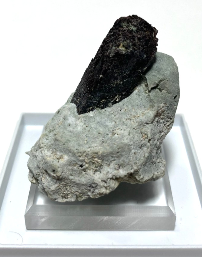 Stunning Neptunite 40mm crystal on Crossite matrix. San Benito California