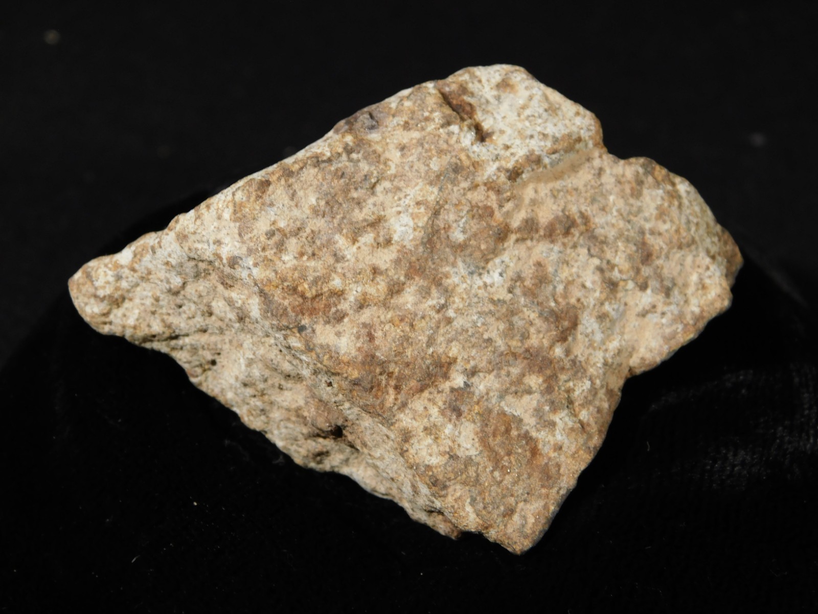 Classified NWA 8245 METEORITE 100% Natural FELL on Erfoud, Morocco 110gr