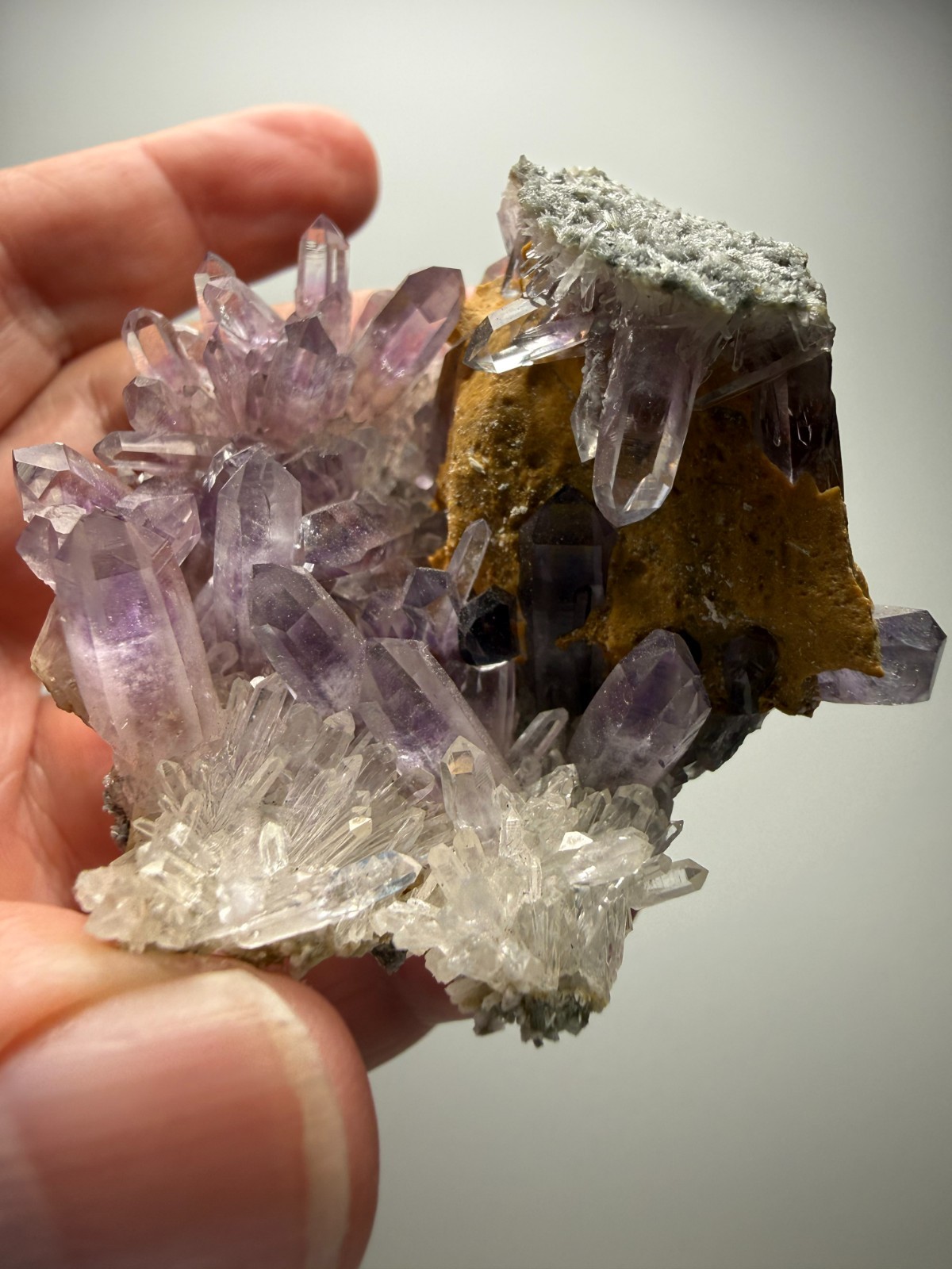 Stunning Amethyst cluster- unique formation! Las Vigas de Ramirez, Mexico