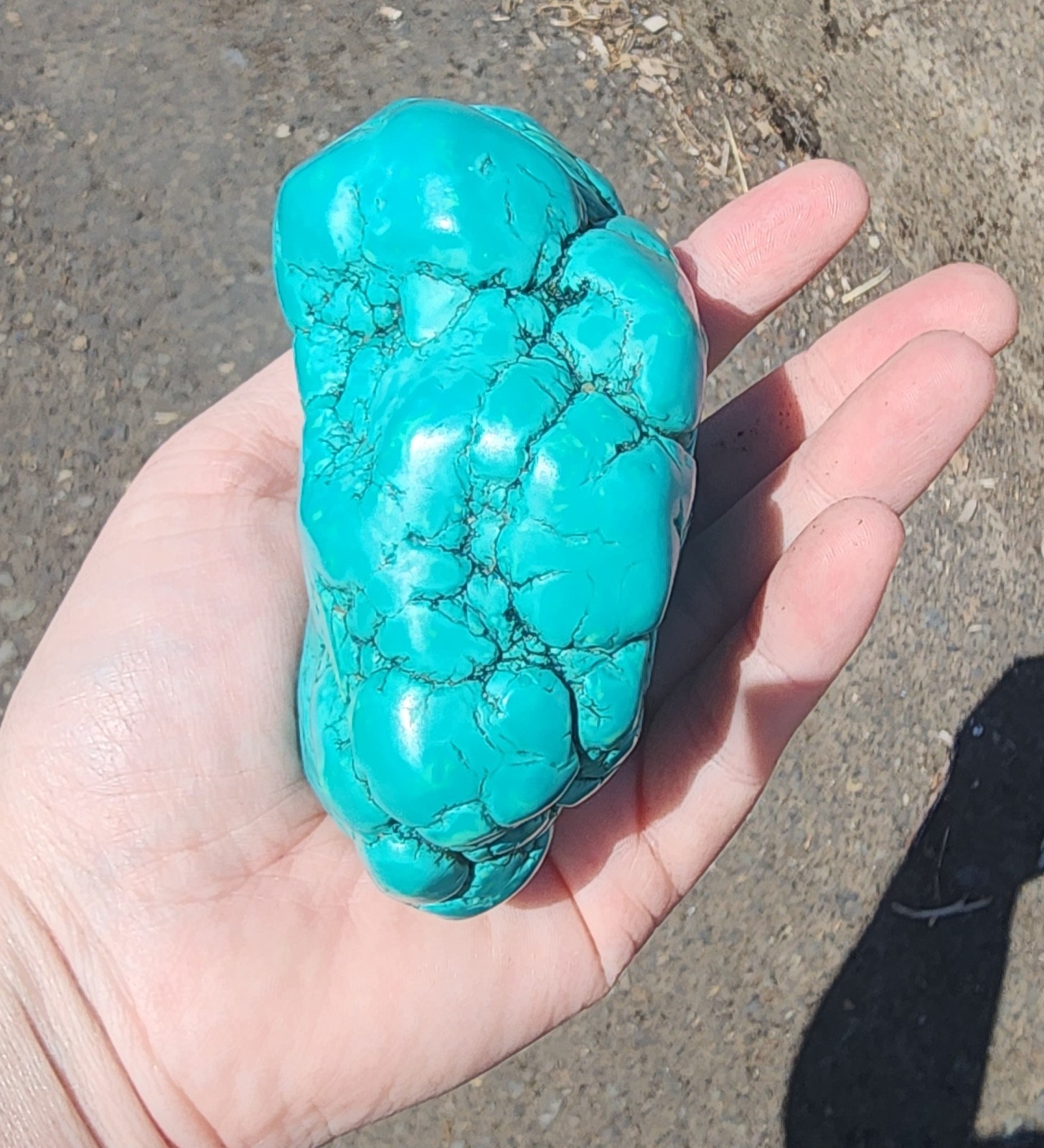 420g Natural Botryoidal Turquoise Rough Gemstone Crystal Mineral Specimen