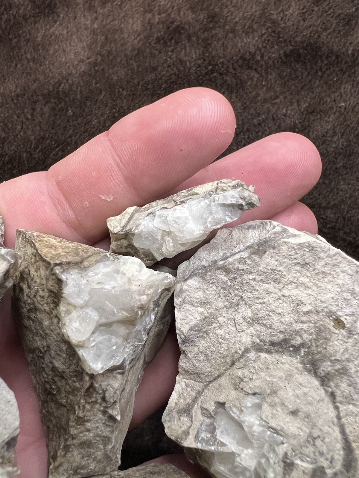 raw natural quartz crystal North East Mississippi Outcrop 5 Pieces