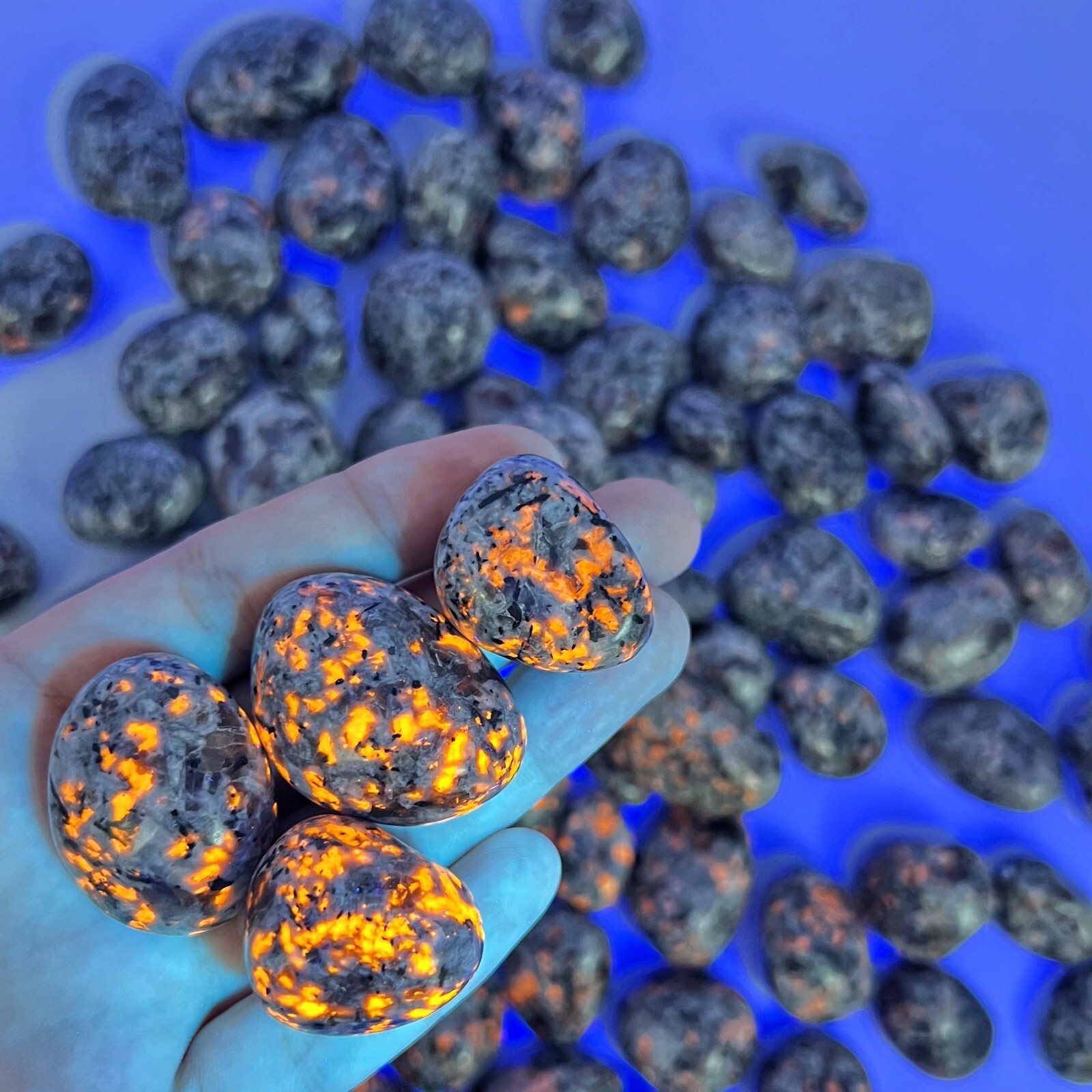 5 PCS Natural Yooperlite Tumbled Stone UV Reactive Sodalite Gemstone Home Decor