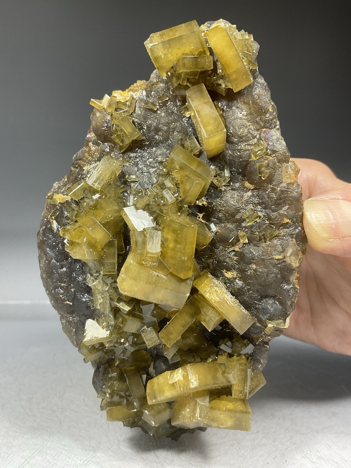 SS Rocks – Golden Barite on Fluorite (Xie Fang, Tiangxi, China) 1.42lbs
