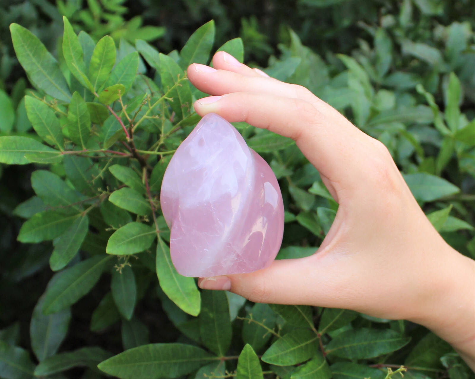 Polished Rose Quartz Crystal Flame – Natural Rose Quartz Flame Cut Base Specimen