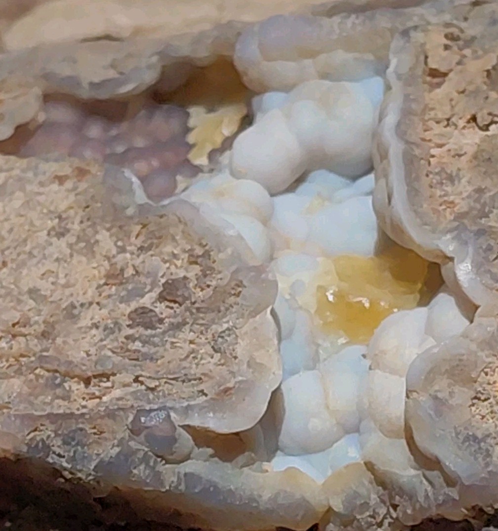 Blue Forest Petrified Botryoidal Blue Chalcedony Crevices UV+ Branch Wood Grain