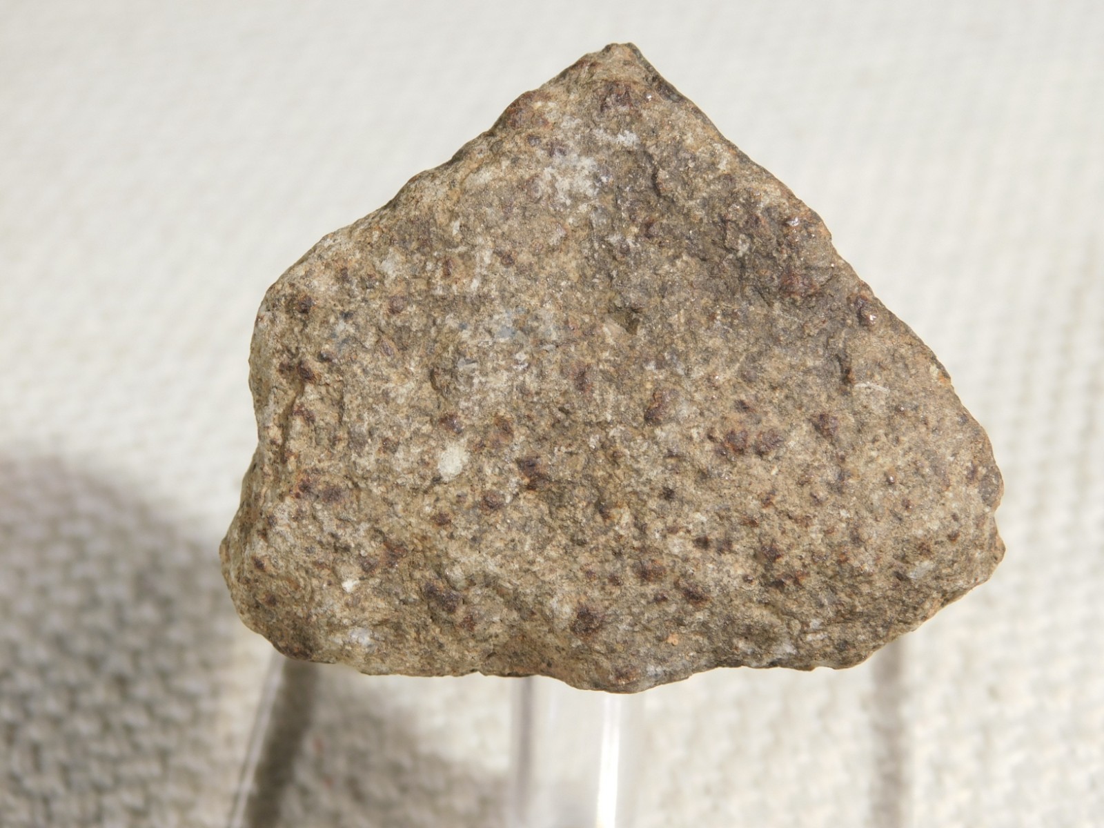 Classified NWA 8245 METEORITE Spots of Dark Fusion Crust! Erfoud, Morocco 74.5gr