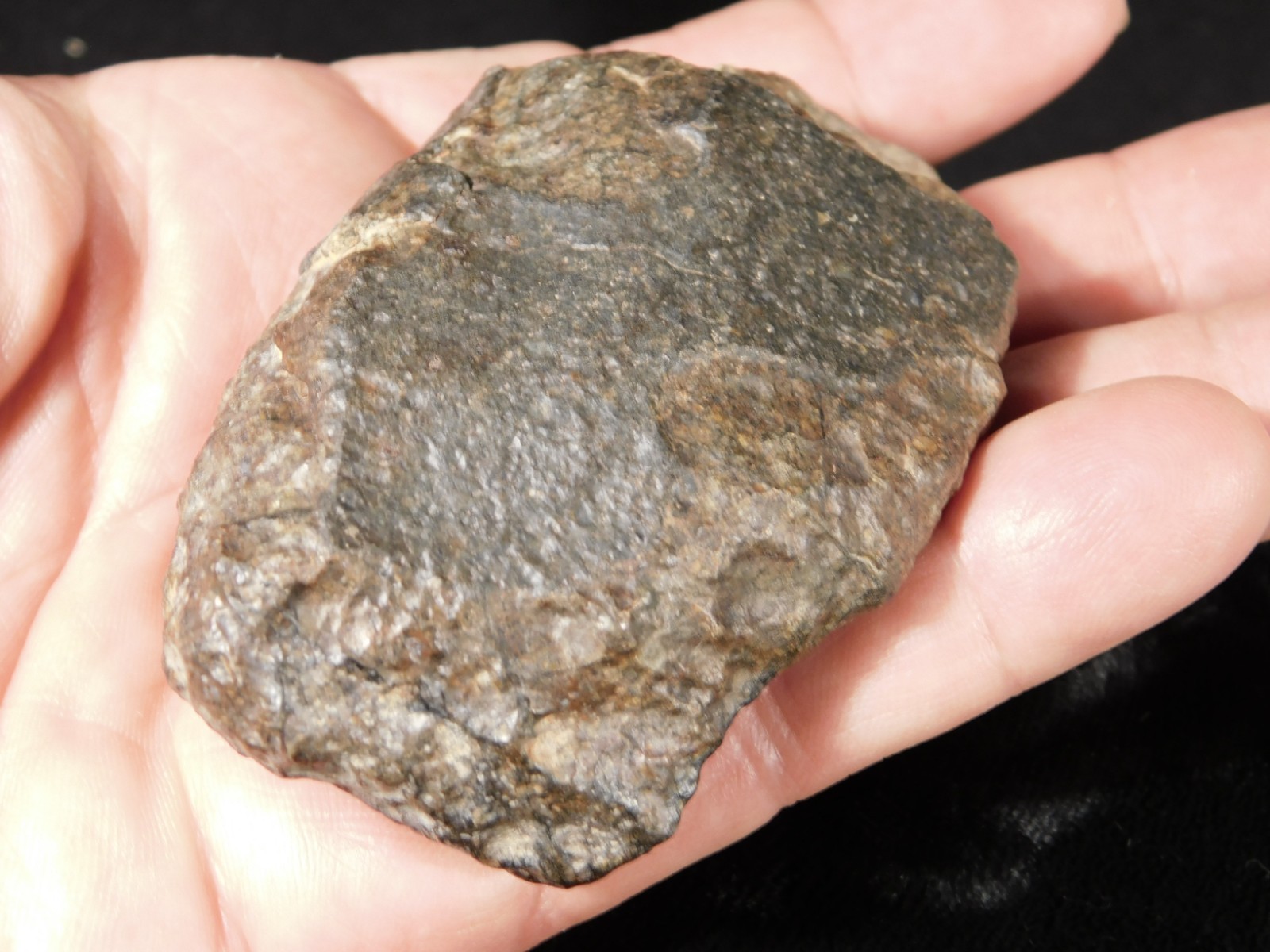 Larger N.W.A 869 Stony METEORITE with Dark Fusion Crust 197gr