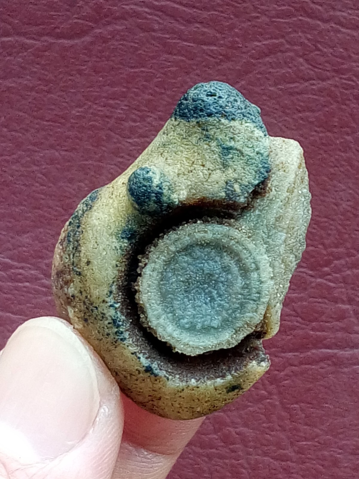 36mm Natural Gobi agate eye agate stone cute collection
