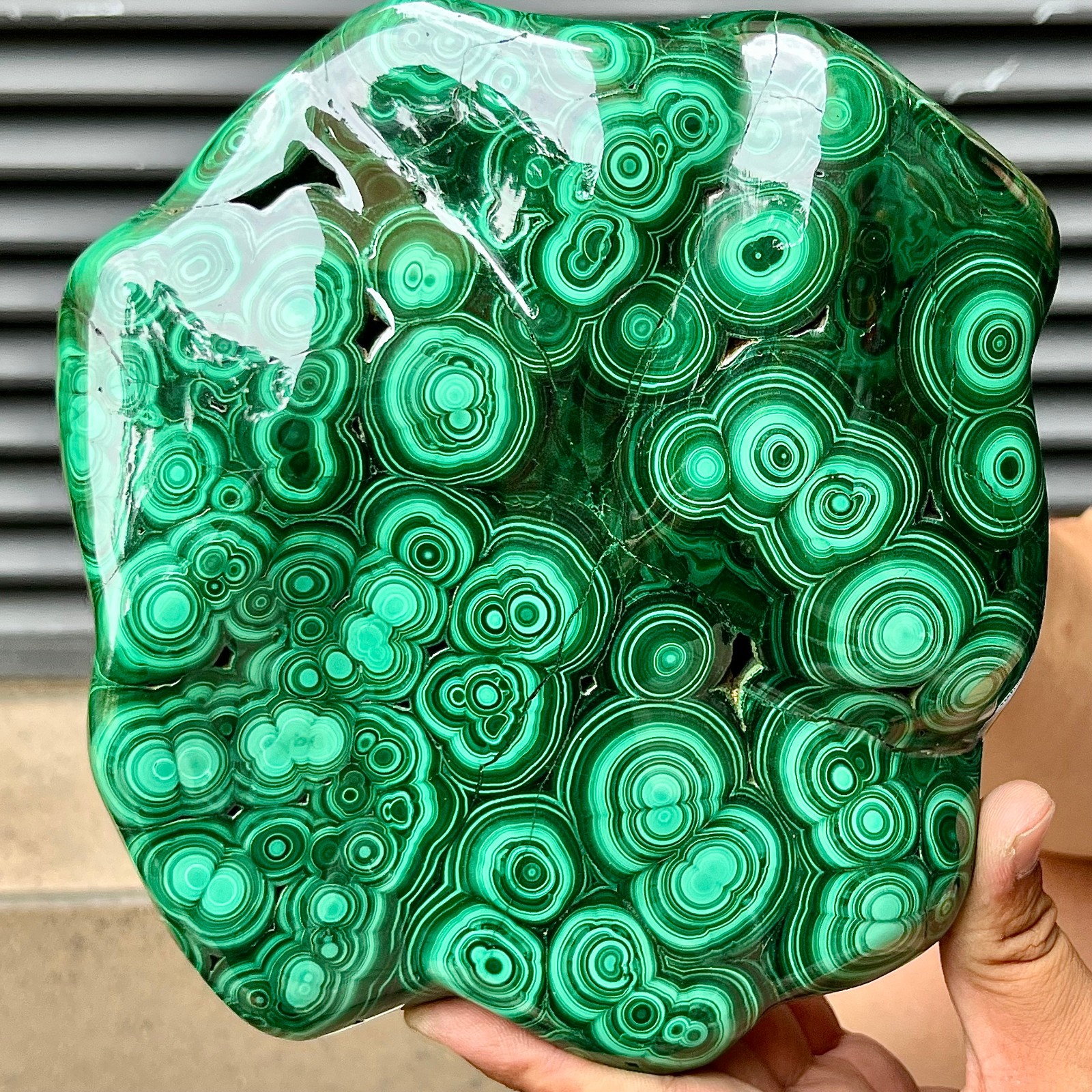Natural Malachite Stone Polished Slab Bull Eye Pattern Display Decor 7.1 lb