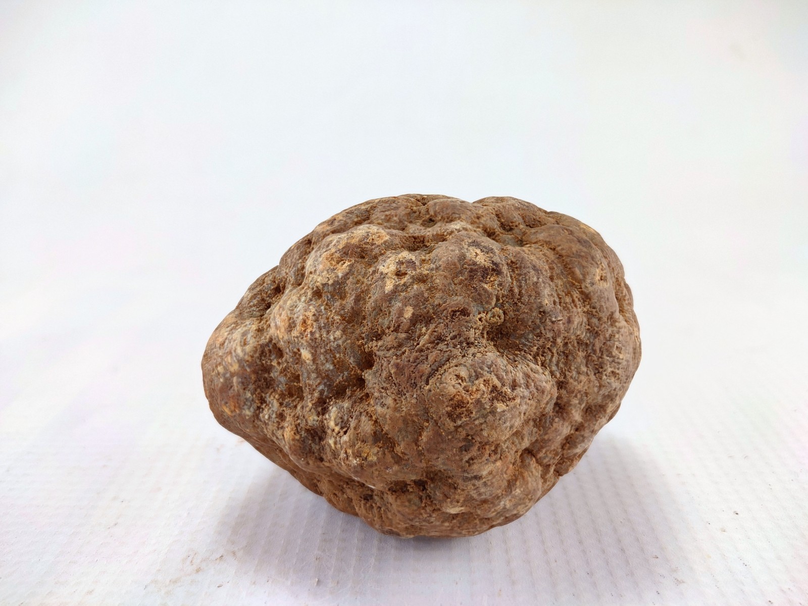 3″ Unopened Geode Natural Non Rattler Whole Kentucky Quartz Crystal 1 Pound