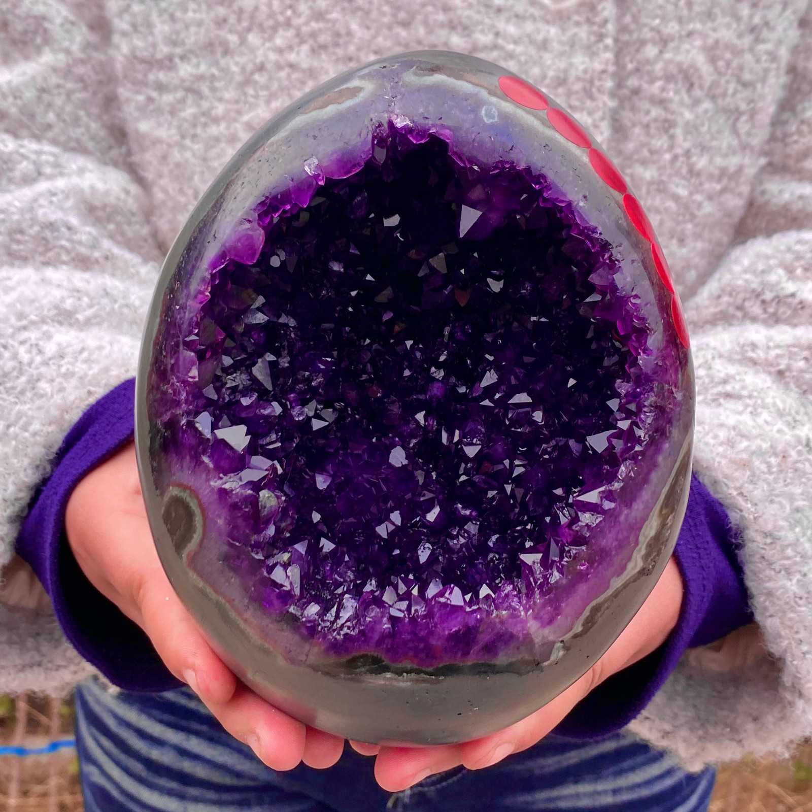6.4LB Natural amethyst Dinosaur egg Quartz Crystal specimen healing
