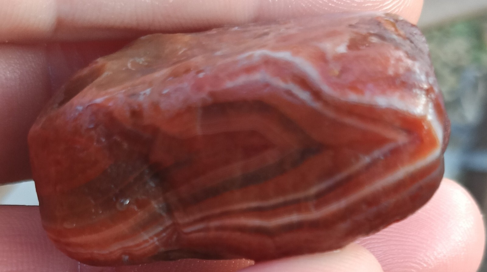 Lake Superior Agate Minnesota