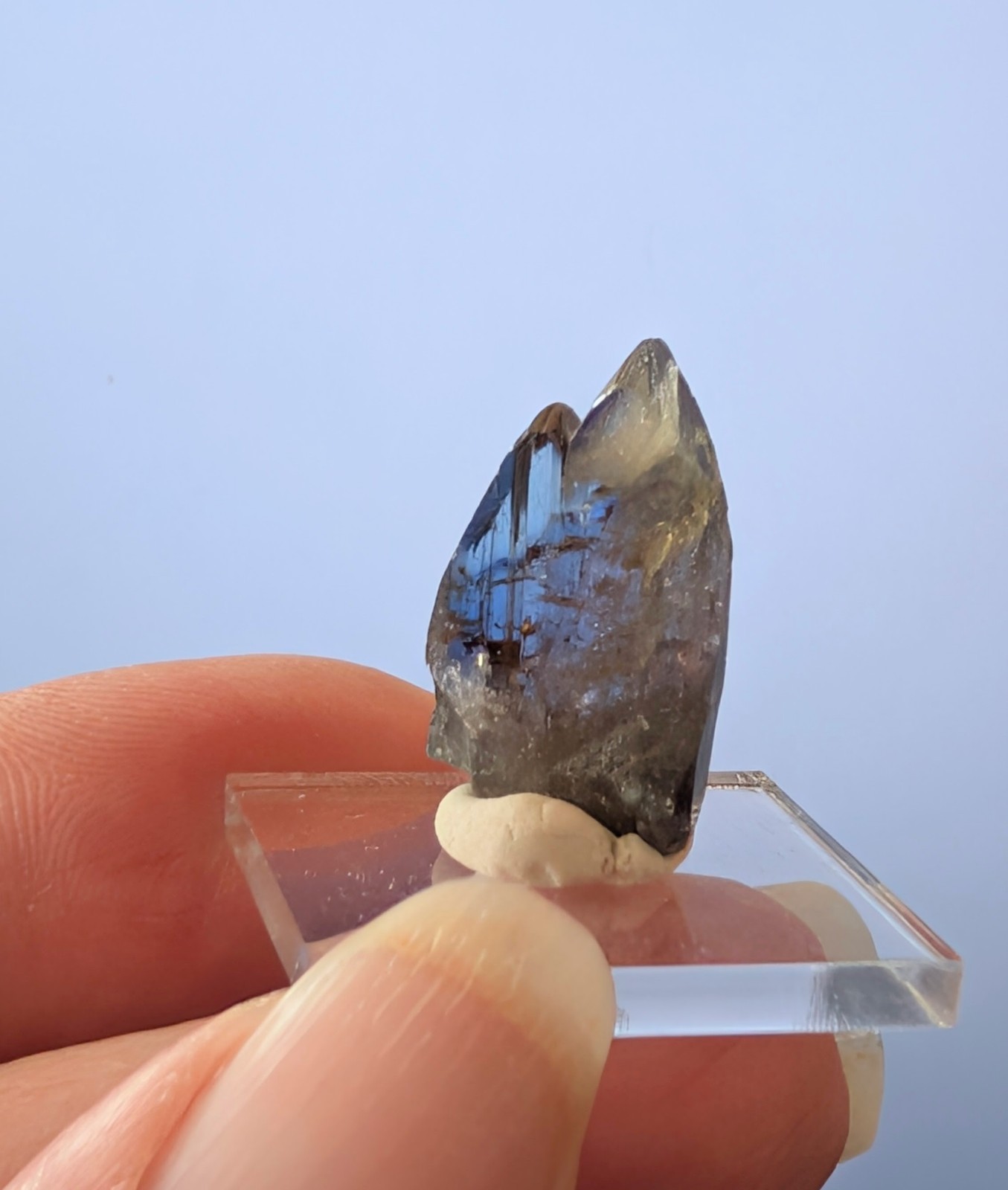 14.05 ct Natural Tanzanite Crystal – Unheated