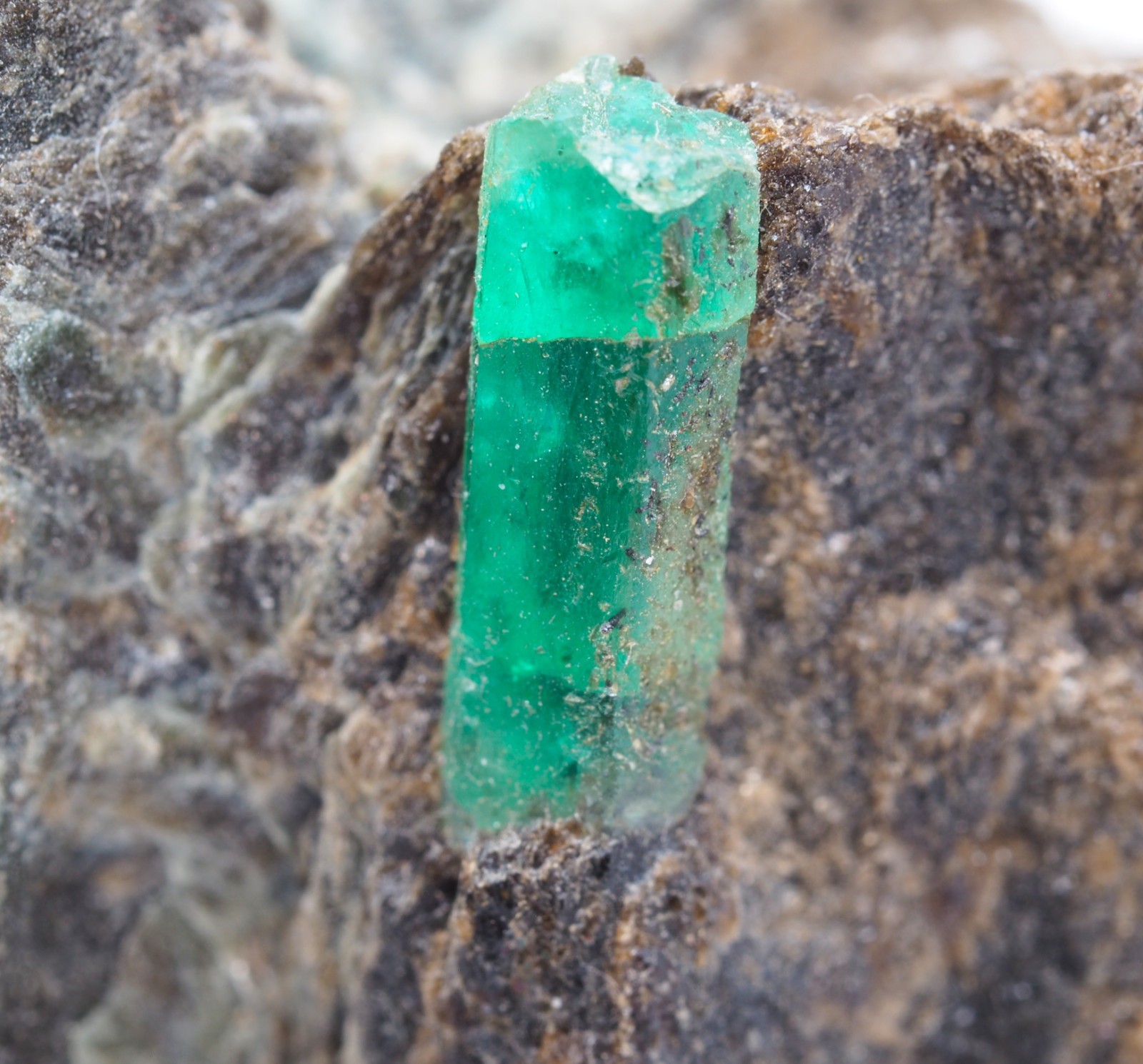 Great Emerald Crystal on Matrix – Leckbachgraben, Austria