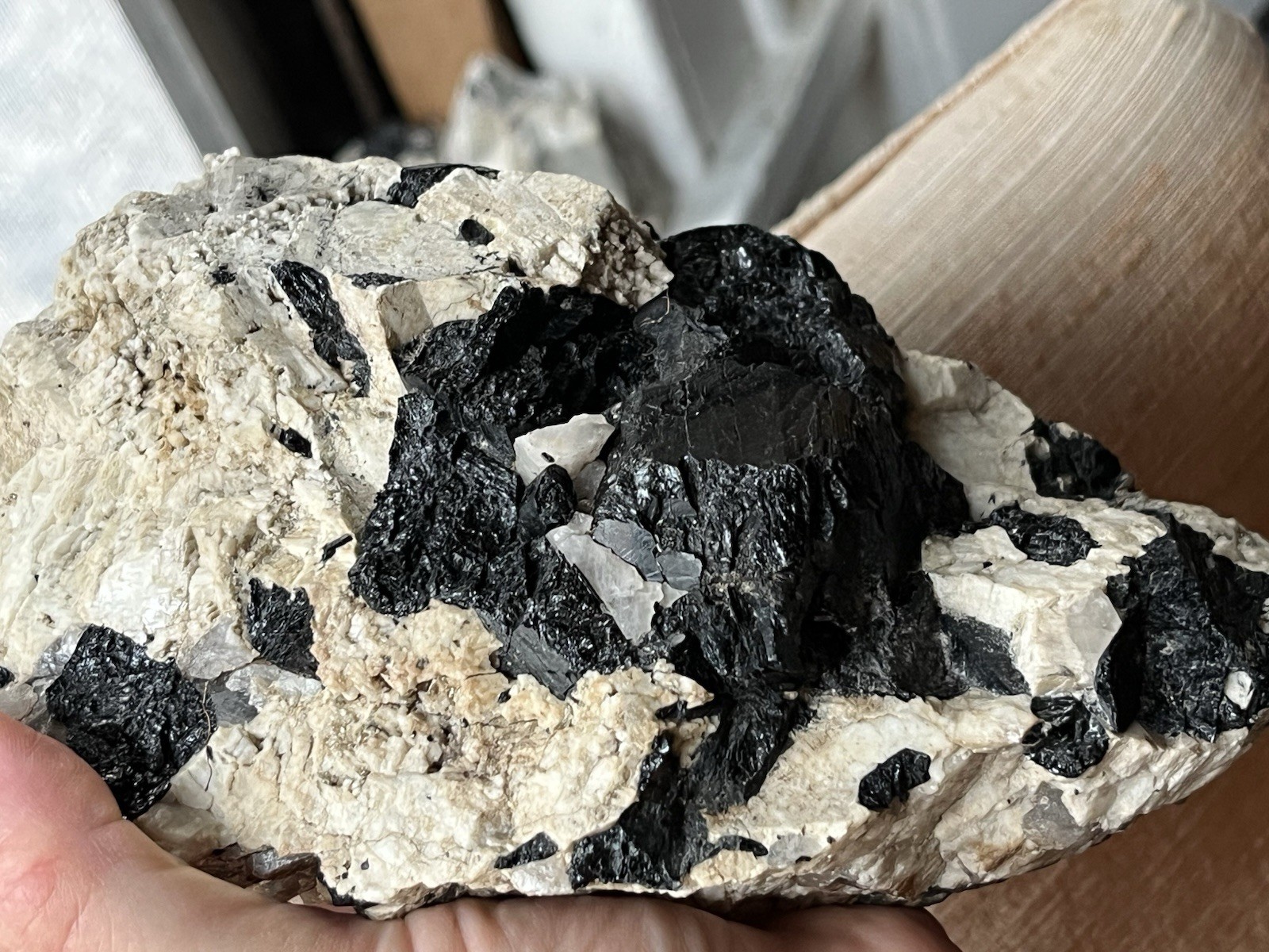 HUGE 6lb 9” Black Tourmaline Schorl Crystals In Matrix Maine USA Locality Quartz