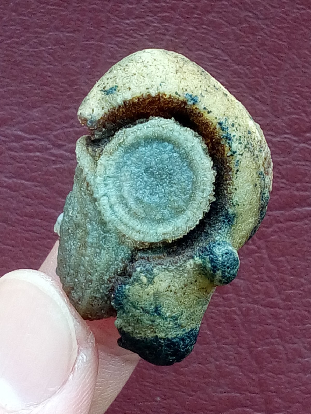 36mm Natural Gobi agate eye agate stone cute collection