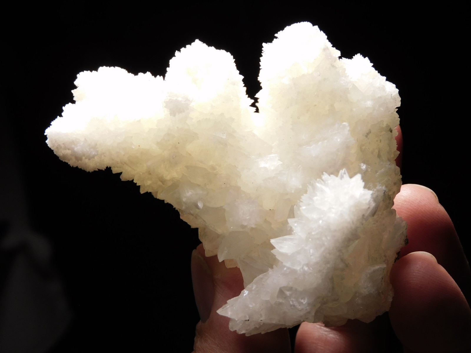 Bright White! CAVE Aragonite STALACTITE Crystal Cluster Mexico 145gr