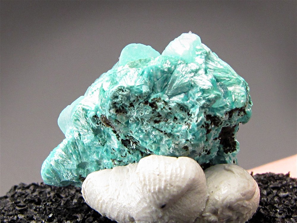 Thumbnail, Smithsonite Kelly Mine Socorro County New Mexico