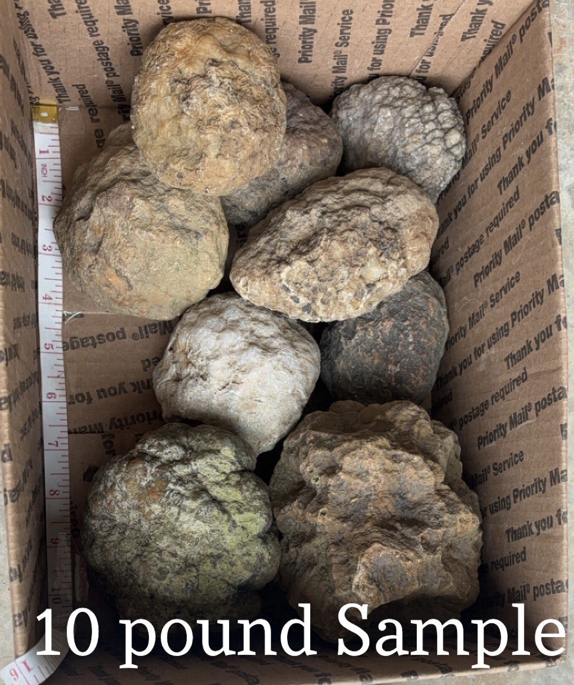 15 lbs Unopened Geodes Lot Natural Quartz Crystal Break Your Own Geode/ Lapidary