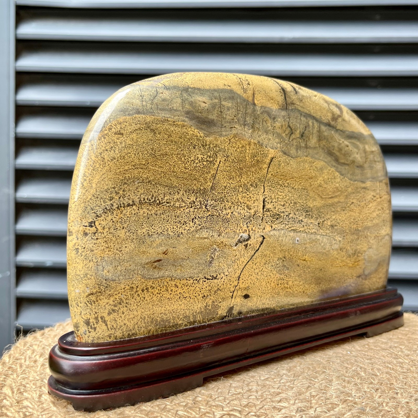 Natural Scenic Stone Display Polished Pattern Art w/ Wood Stand 4.1 lb