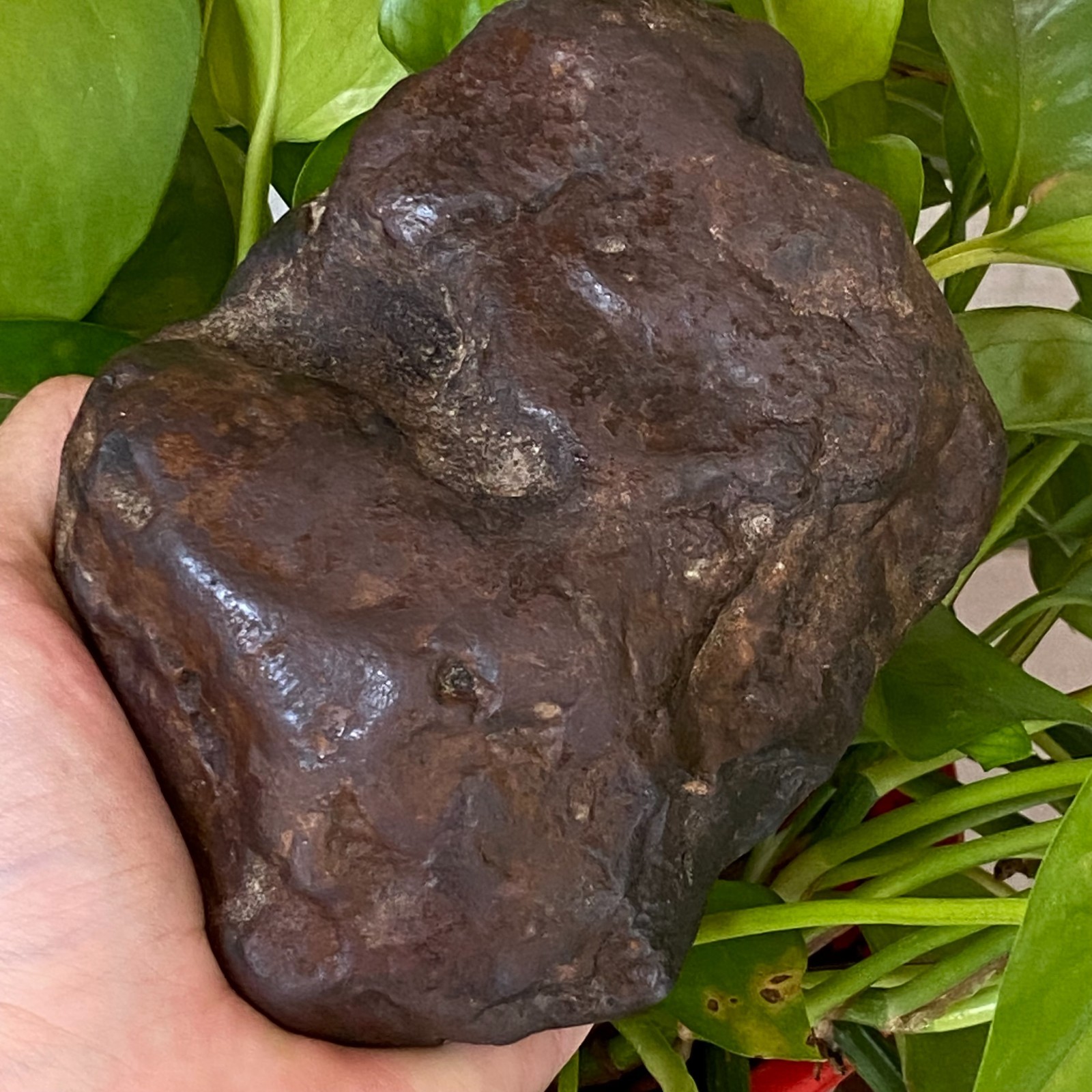 1357g Natural Iron Meteorite Specimen from China W380