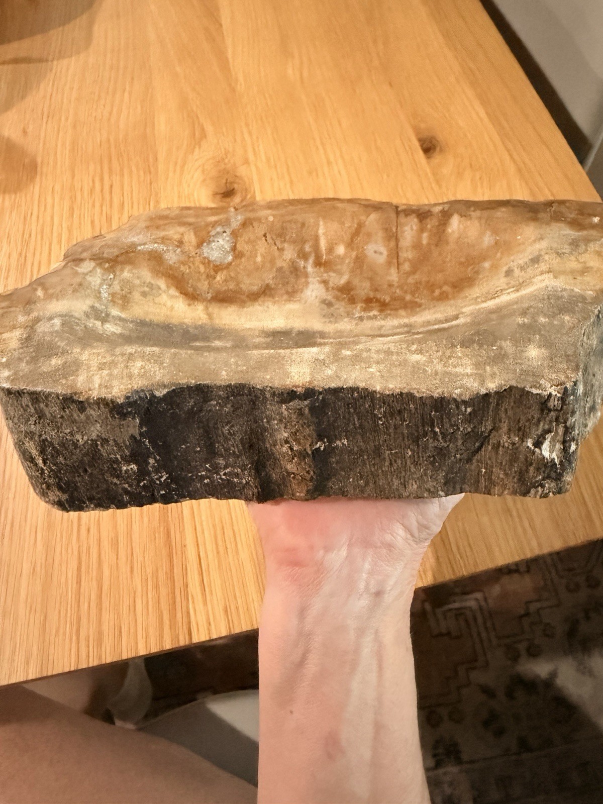 Large Petrified Wood carved And Polished Bowl 8.5 Amazing Statement Art