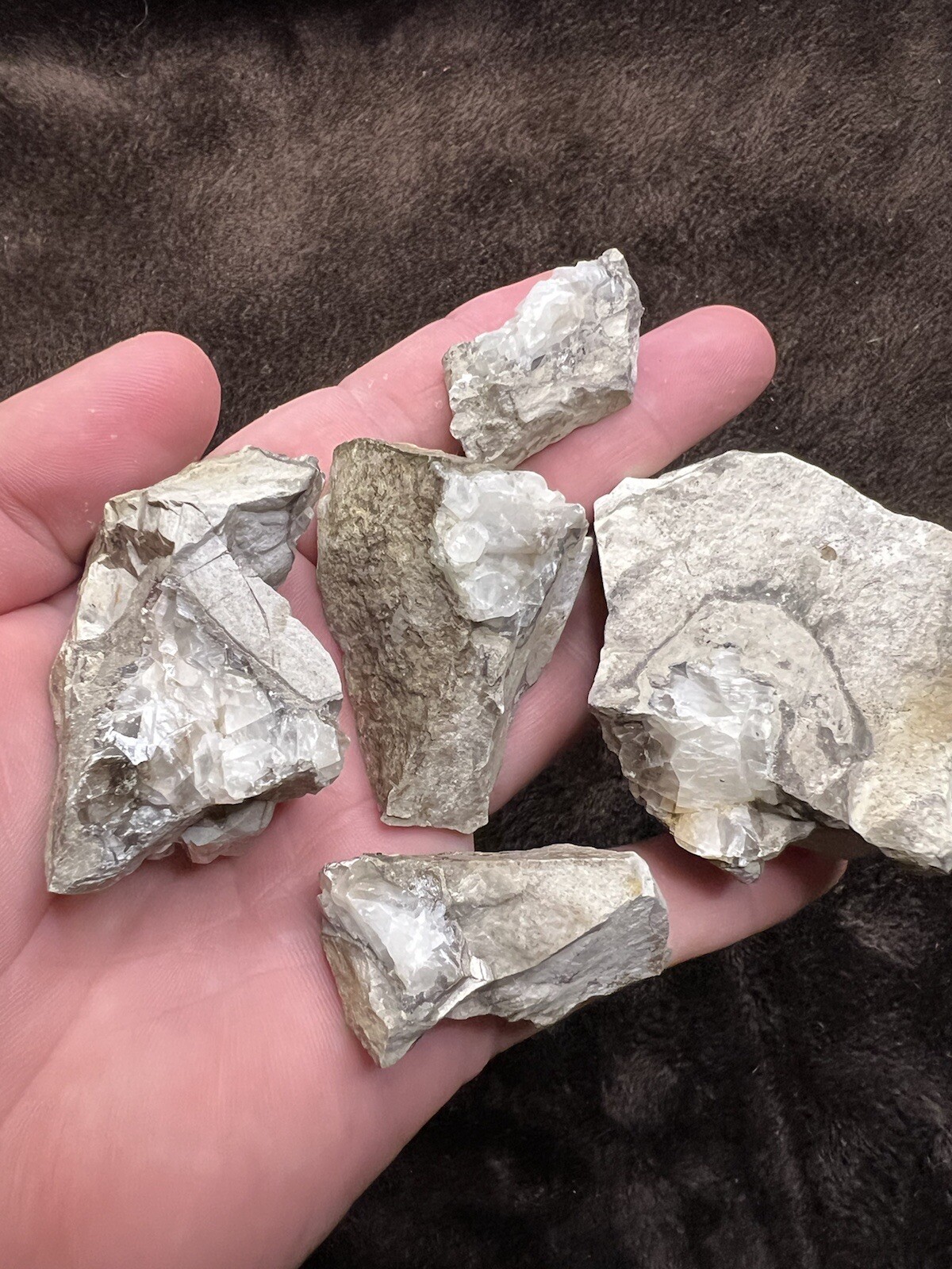 raw natural quartz crystal North East Mississippi Outcrop 5 Pieces