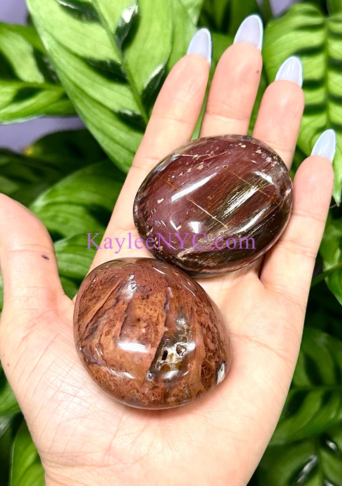 Wholesale Lot 2 Lbs Natural Petrified Wood Palm Stone Crystal Healing