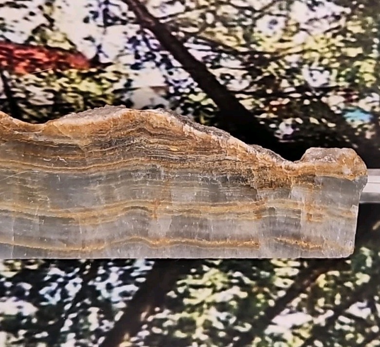 Blue Onyx Slab, Grade A 8.31oz 9in Long