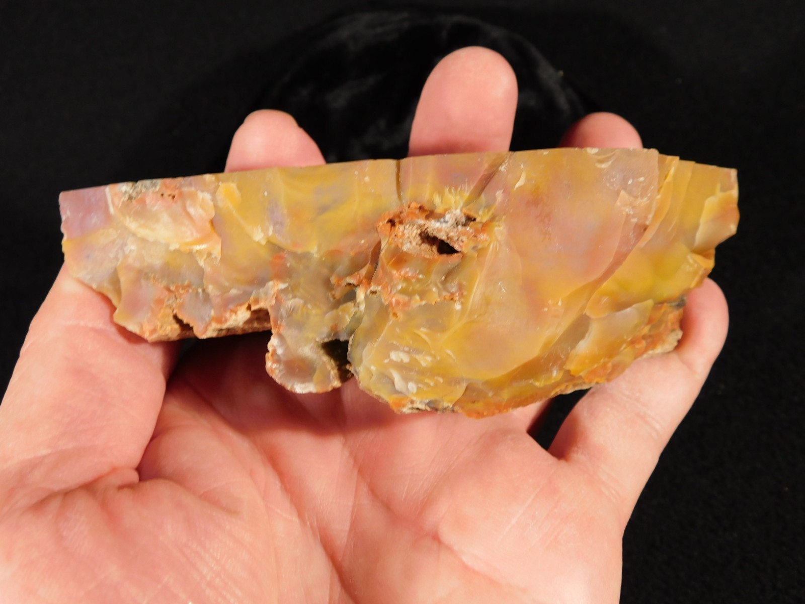 Polished Deep Yellow/RED Petrified RAINBOW WOOD Fossil End Cut Arizona 309gr