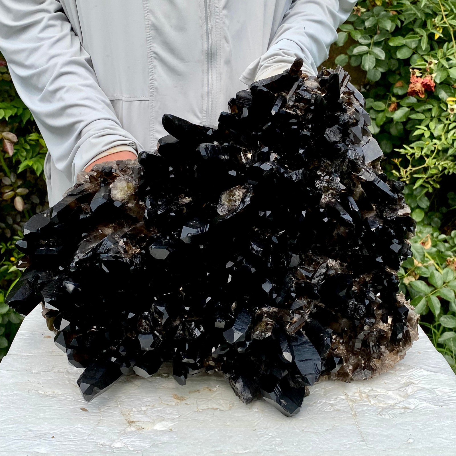 36.5LB New Find black PhantomQuartz Crystal Cluster Mineral Specimen