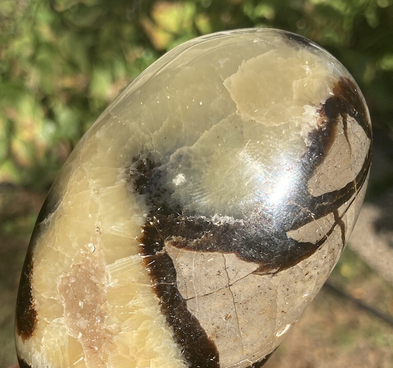 293g Polished SEPTARIAN Palm Stone Healing Crystal Mahajanga Madagascar 3.7″