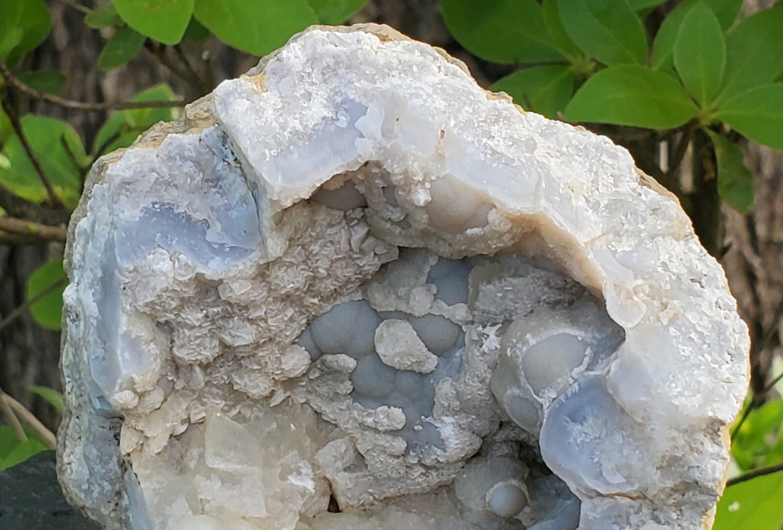 Blue-gray Botryoidal Chalcedony Geode With Calcite And Aragonite Crystals #659