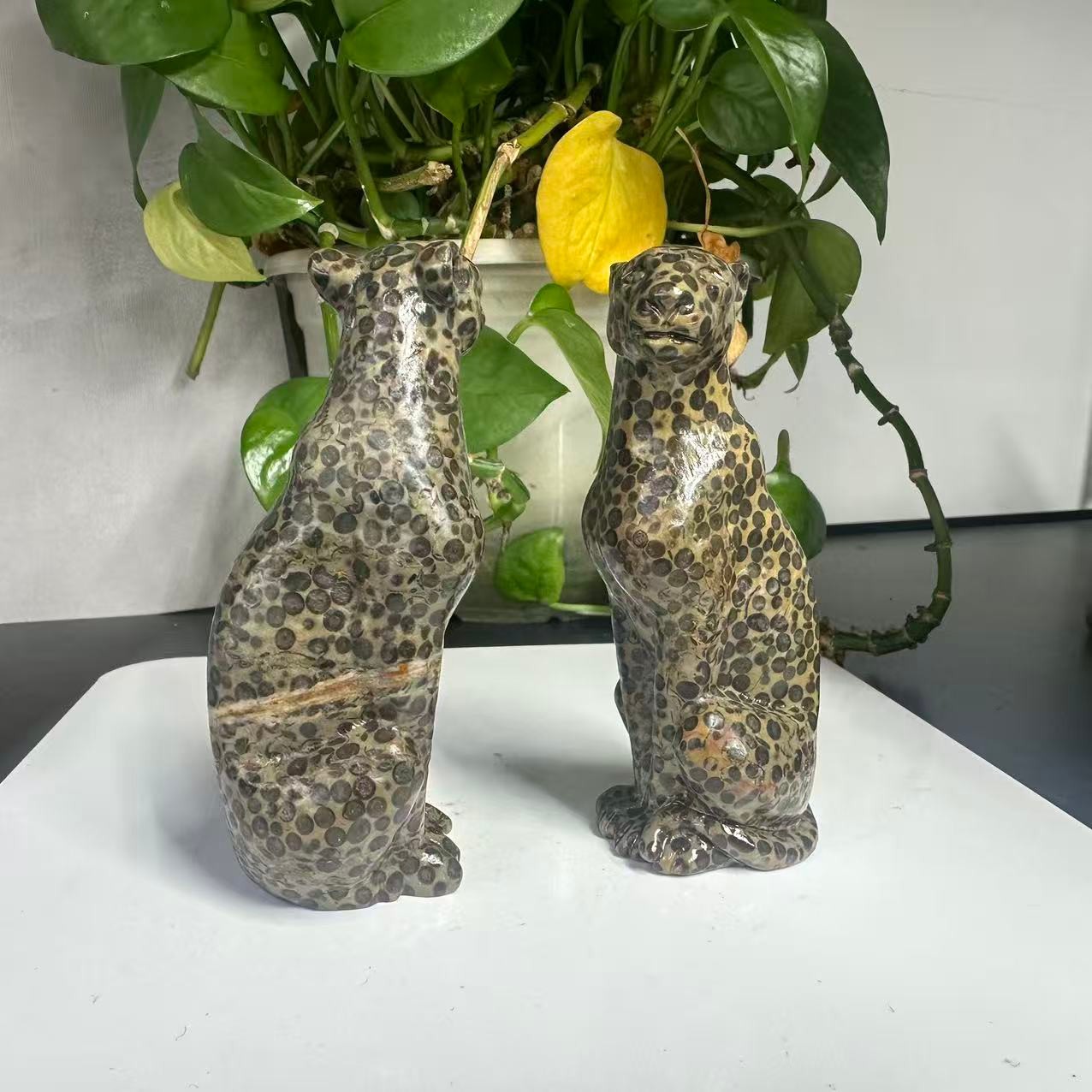 1pc Natural Money Leopard Stone Quartz Carved Leopard Skull Crystal Reiki Decor