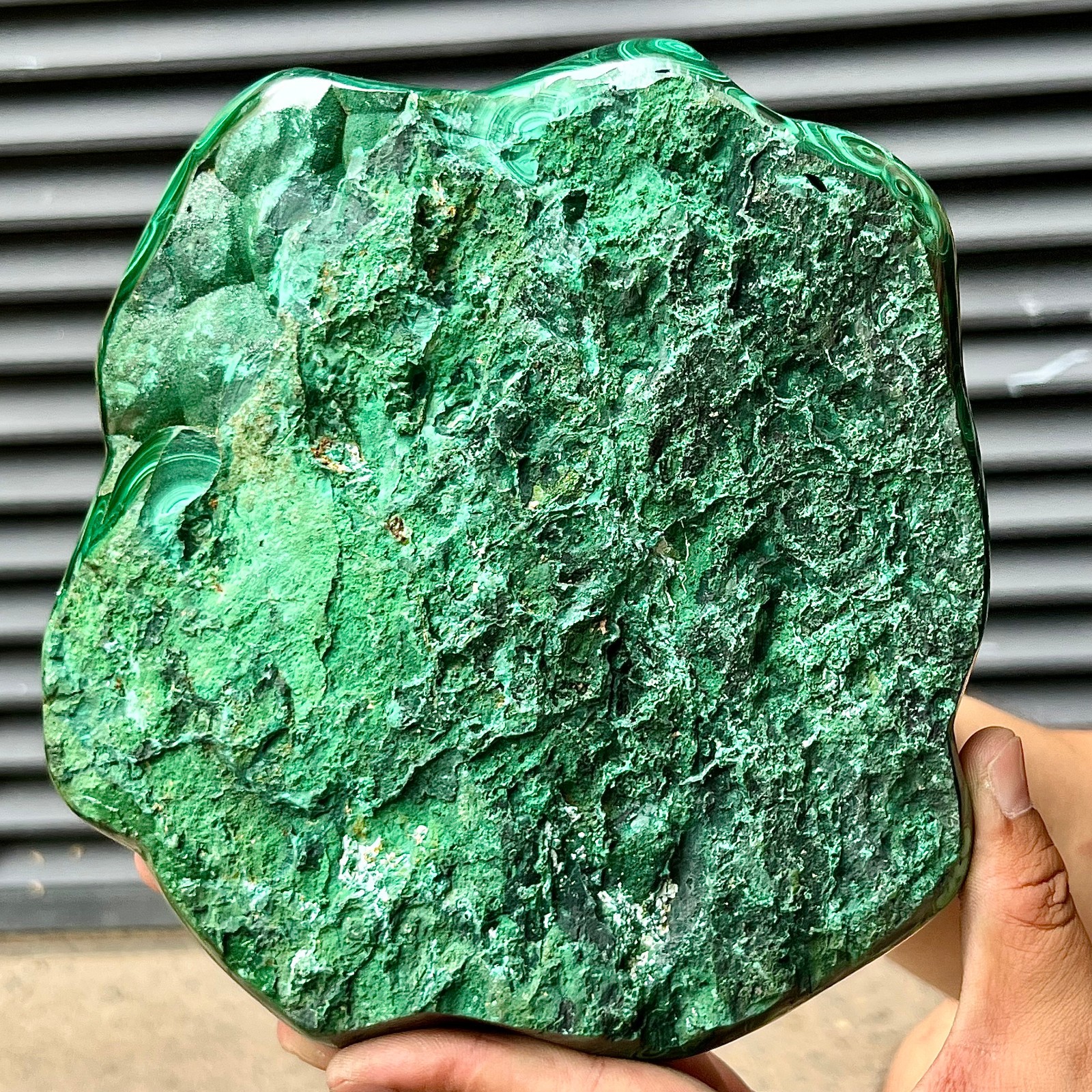 Natural Malachite Stone Polished Slab Bull Eye Pattern Display Decor 7.1 lb