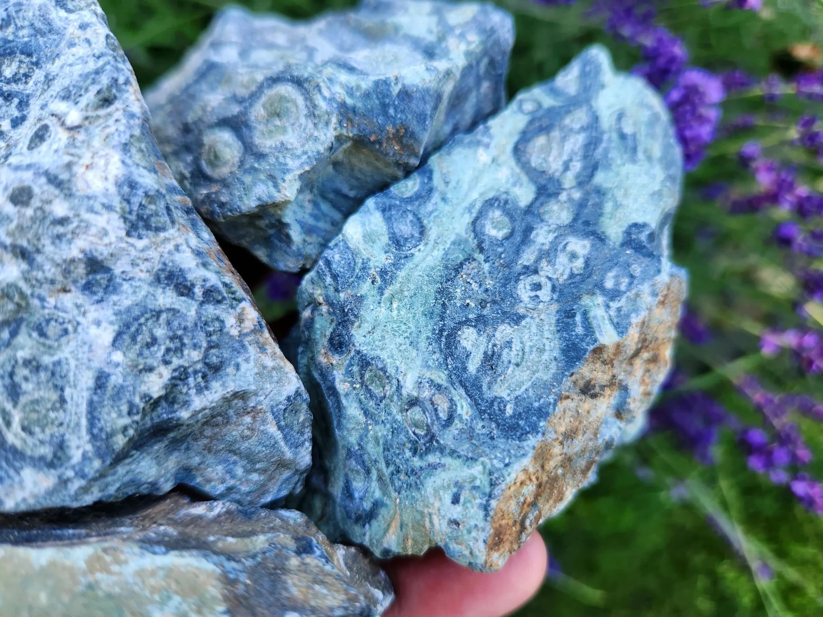 4.5 lbs Kambaba “Crocodile” Jasper – 5 Pieces – Ideal for Lapidary or Tumbling